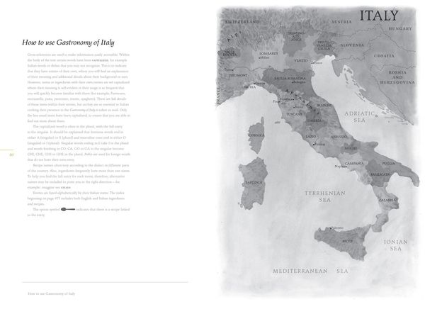 Produktbild: Gastronomy of Italy