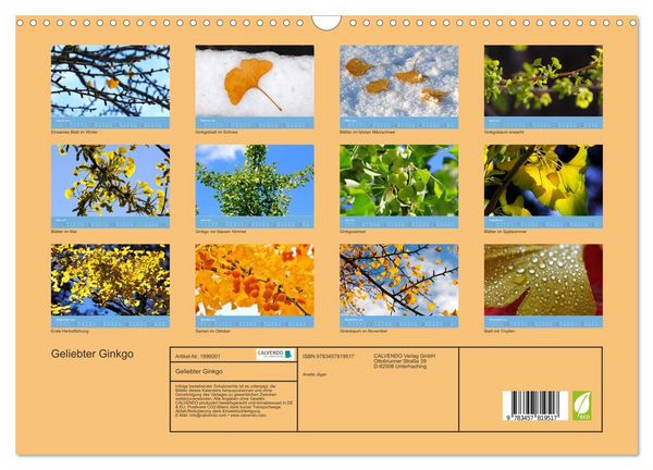 Produktbild: Geliebter Ginkgo (Wandkalender 2026 DIN A3 quer), CALVENDO Monatskalender