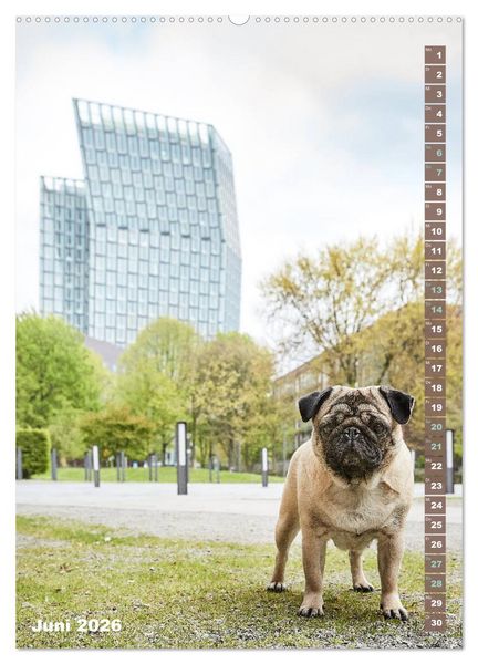 Produktbild: M&ouml;pse in Hamburg (Wandkalender 2026 DIN A2 hoch), CALVENDO Monatskalender