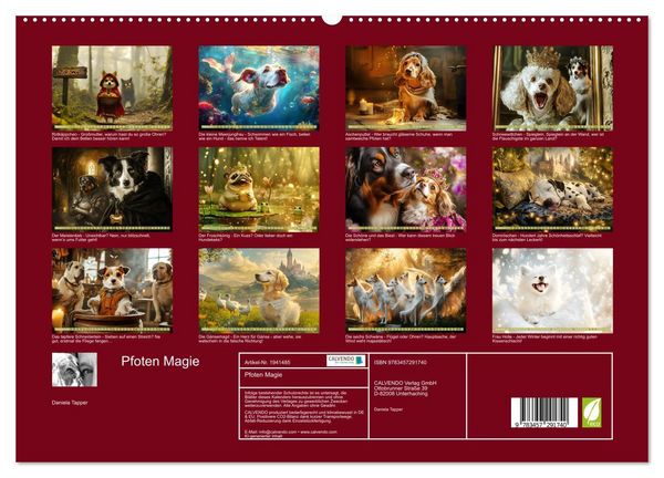 Produktbild: Pfoten Magie (hochwertiger Premium Wandkalender 2026 DIN A2 quer), Kunstdruck in Hochglanz