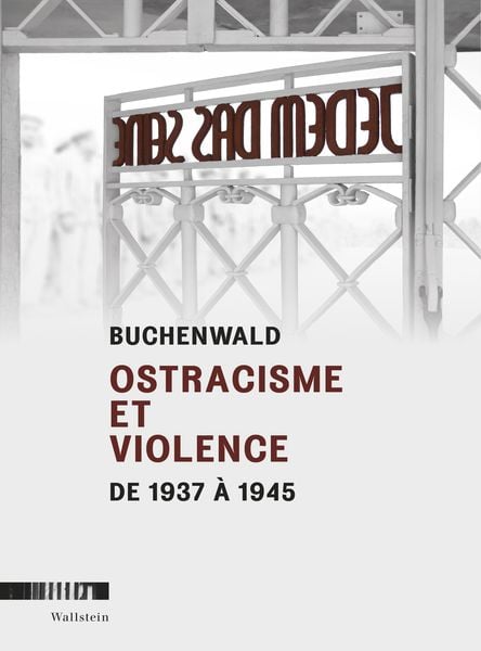Produktbild: Buchenwald