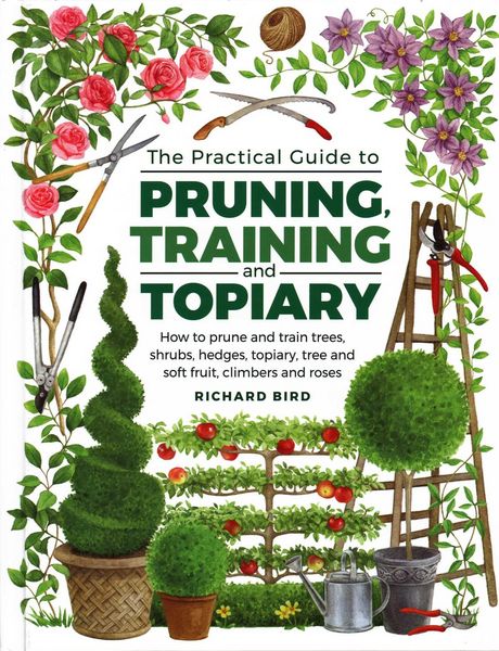 Produktbild: Practical Guide to Pruning, Training and Topiary
