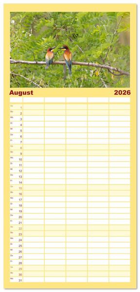 Produktbild: Familienplaner 2026 - Bunte Flieger mit 5 Spalten (Wandkalender, 21 x 45 cm) CALVENDO