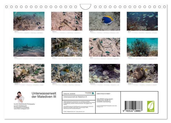 Produktbild: Unterwasserwelt der Malediven III (Wandkalender 2026 DIN A4 quer), CALVENDO Monatskalender