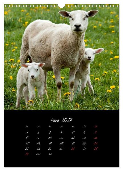 Produktbild: Tiere (Wandkalender 2027 DIN A3 hoch), CALVENDO Monatskalender