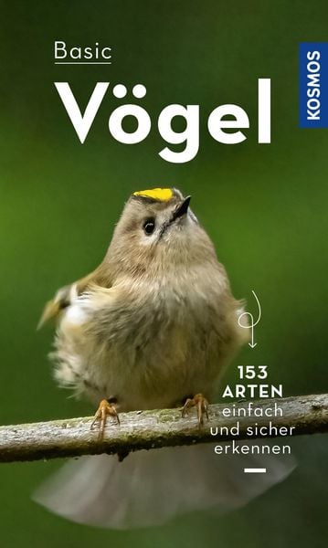 Produktbild: Basic Vögel