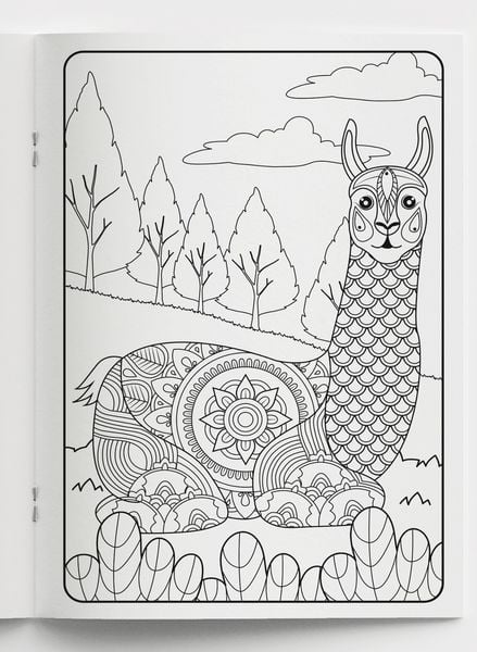 Produktbild: Mein Mandala Malbuch