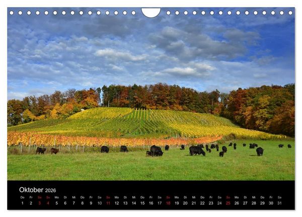 Produktbild: Baden-W&uuml;rttemberg Impressionen (Wandkalender 2026 DIN A4 quer), CALVENDO Monatskalender