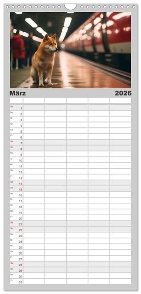 Produktbild: Familienplaner 2026 - Shiba Inu - Stolz und Anmut mit 5 Spalten (Wandkalender, 21 x 45 cm) CALVENDO