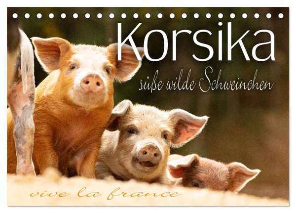 Produktbild: Korsika - s&uuml;&szlig;e, wilde Schweinchen (Tischkalender 2026 DIN A5 quer), CALVENDO Monatskalender