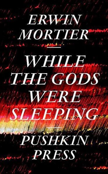 Produktbild: While The Gods Were Sleeping