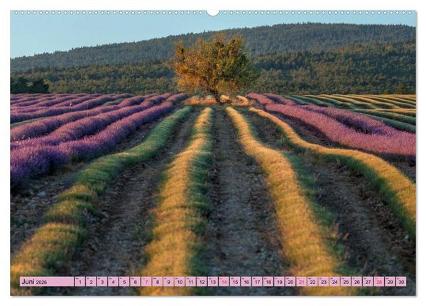 Produktbild: Provence, Lavendelzeit in S&uuml;dfrankreich (hochwertiger Premium Wandkalender 2026 DIN A2 quer), Kunstdruck in Hochglanz