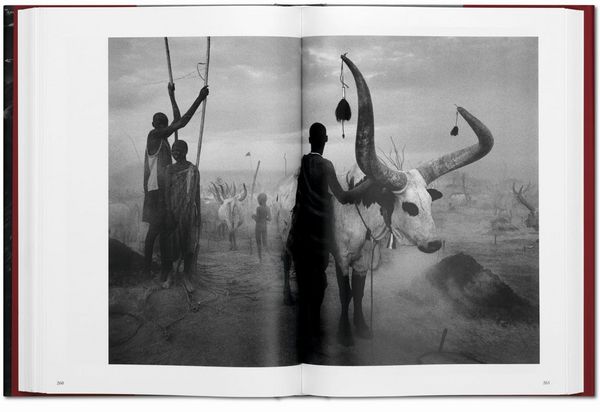 Produktbild: Sebasti&atilde;o Salgado. G&eacute;nesis