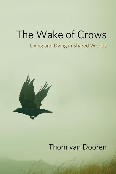 Produktbild: The Wake of Crows