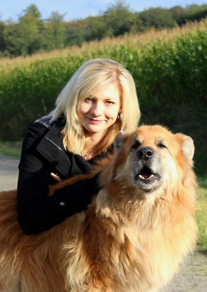 Produktbild: Welpenerziehung &ndash; Mein erster Hund