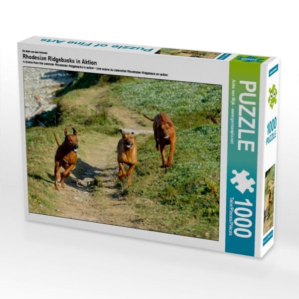 Produktbild: CALVENDO Puzzle Ein Motiv aus dem Kalender Rhodesian Ridgebacks in Aktion | 1000 Teile Lege-Gr&ouml;&szlig;e 64x48cm Foto-Puzzle f&uuml;r gl&uuml;ckliche Stunden