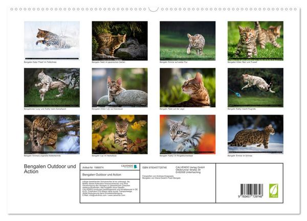 Produktbild: Bengalen Outdoor und Action (hochwertiger Premium Wandkalender 2026 DIN A2 quer), Kunstdruck in Hochglanz