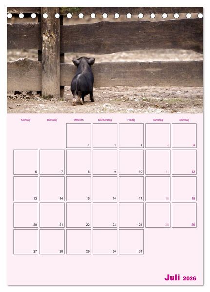 Produktbild: Schweinischer Terminplaner (Tischkalender 2026 DIN A5 hoch), CALVENDO Monatskalender