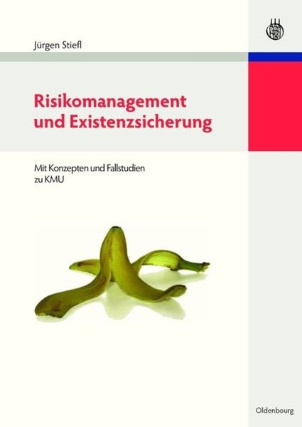 Risikomanagement und Existenzsicherung, Gebundene Ausgabe von Jürgen Stiefl, De Gruyter Oldenbourg, 9783486597530