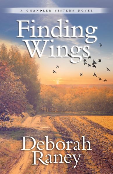 Produktbild: Finding Wings