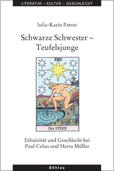 Produktbild: Schwarze Schwester - Teufelsjunge