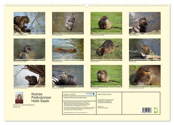 Produktbild: Nutrias Pei&szlig;nitzinsel Halle Saale (Wandkalender 2026 DIN A2 quer), CALVENDO Monatskalender