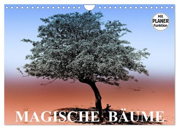 Produktbild: Magische B&auml;ume (Wandkalender 2026 DIN A4 quer), CALVENDO Monatskalender