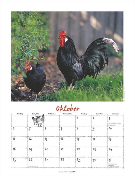 Produktbild: Der H&uuml;hnerkalender 2027