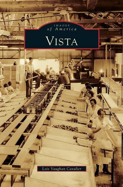 Produktbild: Vista