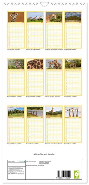 Produktbild: Familienplaner 2026 - Afrikas Tierwelt: Giraffen mit 5 Spalten (Wandkalender, 21 x 45 cm) CALVENDO