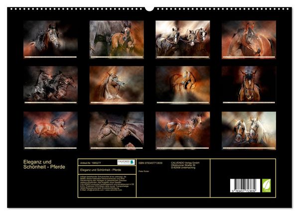 Produktbild: Eleganz und Sch&ouml;nheit - Pferde (hochwertiger Premium Wandkalender 2026 DIN A2 quer), Kunstdruck in Hochglanz