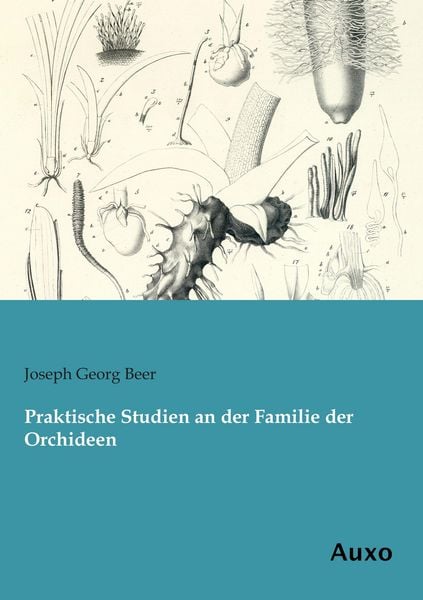 Produktbild: Praktische Studien an der Familie der Orchideen