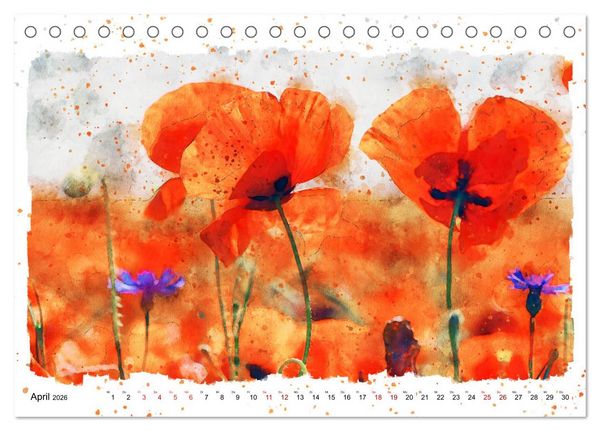 Produktbild: Mohnbl&uuml;ten in Aquarell (Tischkalender 2026 DIN A5 quer), CALVENDO Monatskalender