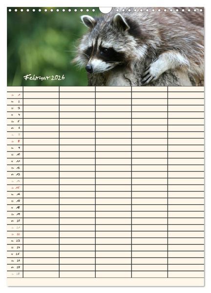 Produktbild: Waschb&auml;ren Familienplaner (Wandkalender 2026 DIN A3 hoch), CALVENDO Monatskalender