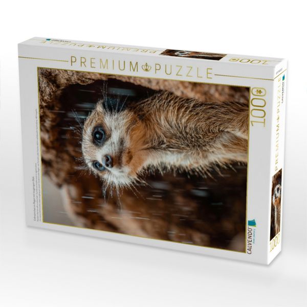 Produktbild: CALVENDO Puzzle Erdm&auml;nnchen im Regen mit neugierigem Blick | 1000 Teile Lege-Gr&ouml;&szlig;e 64x48cm Foto-Puzzle f&uuml;r gl&uuml;ckliche Stunden