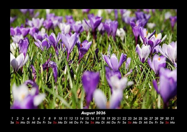 Produktbild: Blumenkalender 2026 Fotokalender DIN A3