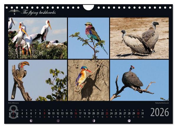 Produktbild: Botswana Blickwinkel 2026 (Wandkalender 2026 DIN A4 quer), CALVENDO Monatskalender
