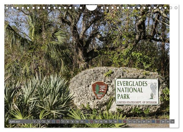 Produktbild: Sunshine State Florida Natur, Tierwelt und Nationalparks (Wandkalender 2027 DIN A4 quer), CALVENDO Monatskalender