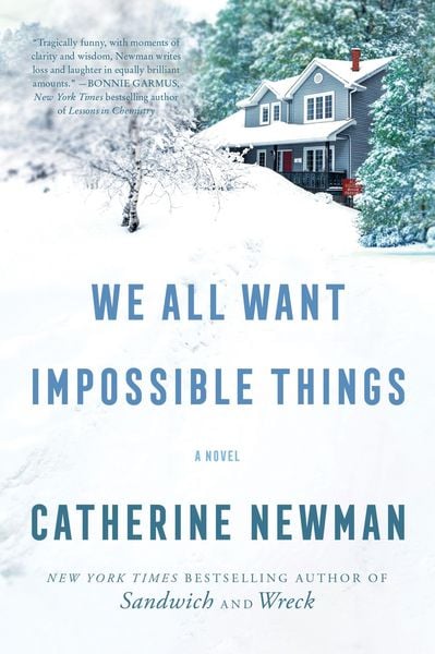 Produktbild: We All Want Impossible Things