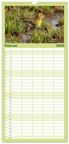 Produktbild: Familienplaner 2026 - Die farbenfrohe Welt der Finken mit 5 Spalten (Wandkalender, 21 x 45 cm) CALVENDO