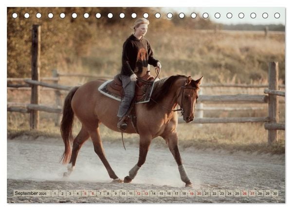 Produktbild: Quarter Horses - Die gr&ouml;&szlig;te Zuchtbuchrasse der Welt (Tischkalender 2026 DIN A5 quer), CALVENDO Monatskalender