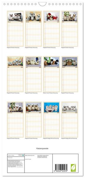 Produktbild: Familienplaner 2026 - Katzenparade mit 5 Spalten (Wandkalender, 21 x 45 cm) CALVENDO