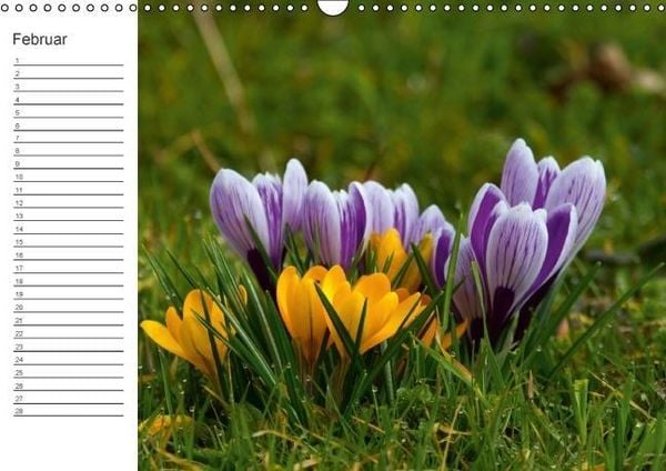 Produktbild: Ich denk an Dich ... Pers&ouml;nlicher Terminkalender (Wandkalender immerw&auml;hrend DIN A3 quer)