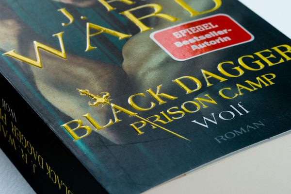 Wolf – Black Dagger Prison Camp 2