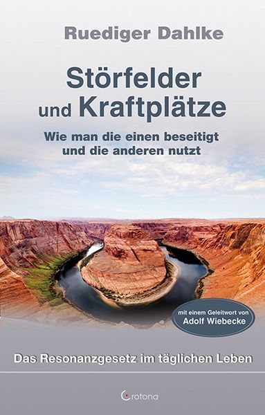 Produktbild: St&ouml;rfelder und Kraftpl&auml;tze