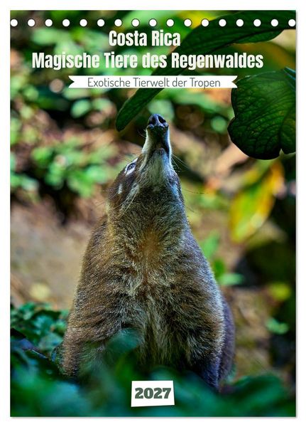 Produktbild: Costa Rica - Magische Tiere des Regenwaldes (Tischkalender 2027 DIN A5 hoch), CALVENDO Monatskalender