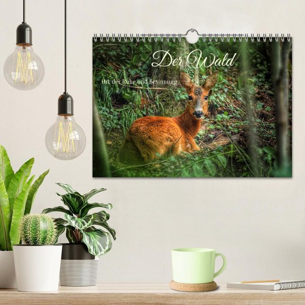 Produktbild: Der Wald - Ort der Ruhe und Besinnung (Wandkalender 2026 DIN A4 quer), CALVENDO Monatskalender