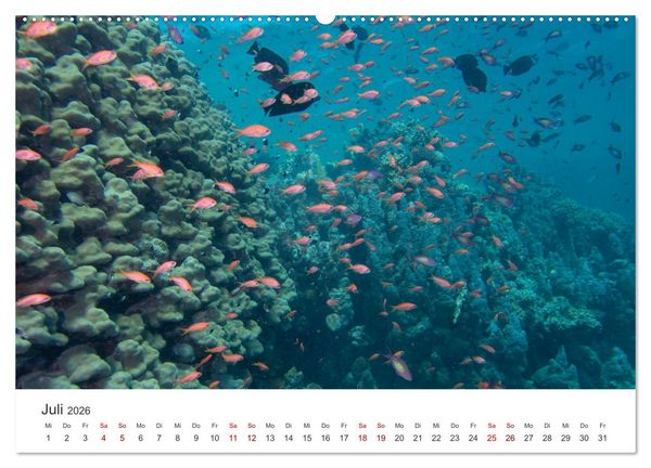 Produktbild: Faszination blaue Welt (hochwertiger Premium Wandkalender 2026 DIN A2 quer), Kunstdruck in Hochglanz