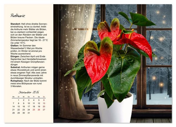 Produktbild: Bl&uuml;tenpracht am Fenster (Wandkalender 2026 DIN A3 quer), CALVENDO Monatskalender