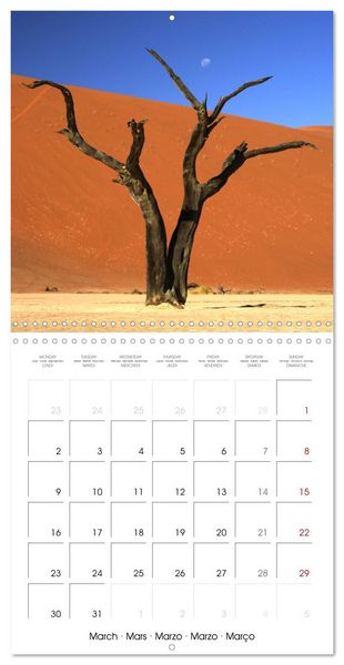 Produktbild: Namibian Adventure (Wall Calendar 2026 12 &times; 12 Inch) CALVENDO 12 Month Wall Calendar
